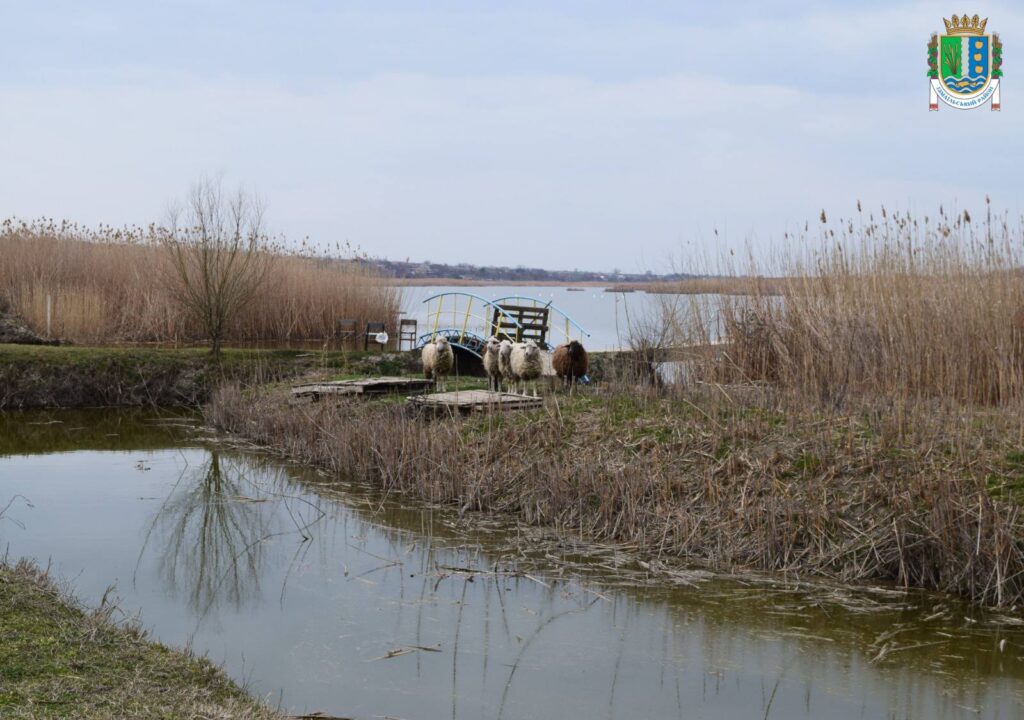 Поблизу Ізмаїла планують відкрити контактний зоопарк
