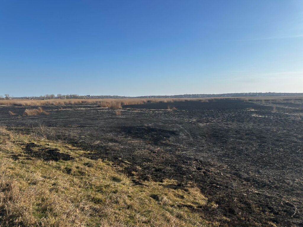 Екологи підрахували збитки, які завдала довкіллю масштабна пожежа у Білгород-Дністровському районі