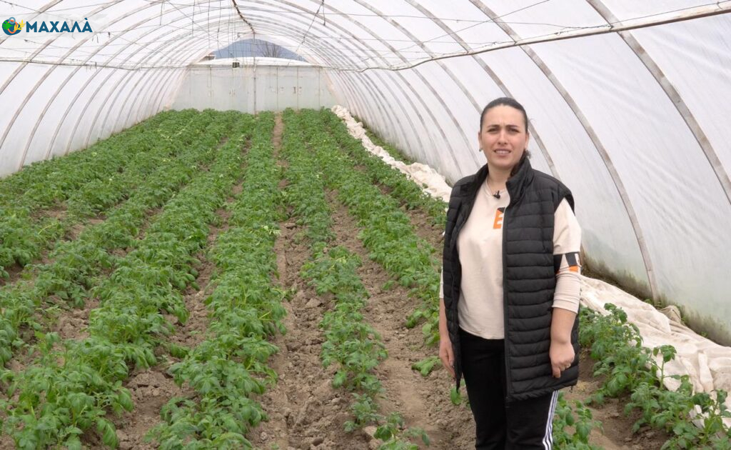 «Ми не боїмося помилятися» — як родина з Виноградівки будує своє агромайбутнє