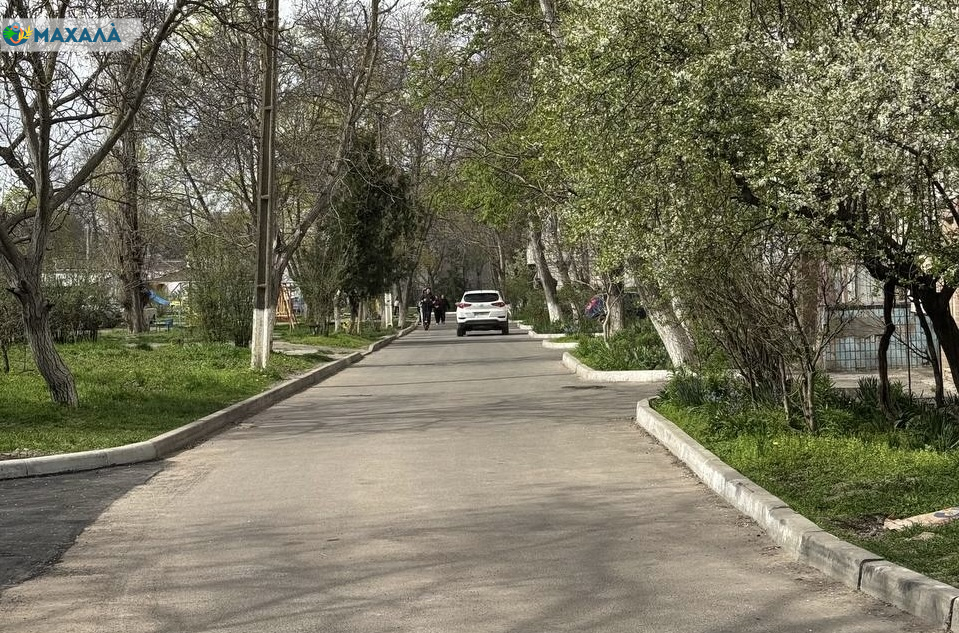 Невиконана обіцянка влади: в Ізмаїлі мешканці багатоповерхівки роками не можуть добитися встановлення “лежачих поліцейських” у дворі