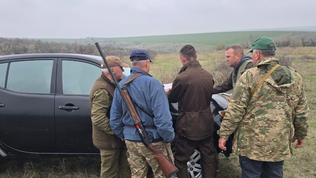 Популяція шакалів на Одещині зросла у понад п’ять разів: хто контролює чисельність та захворюванність тварин 