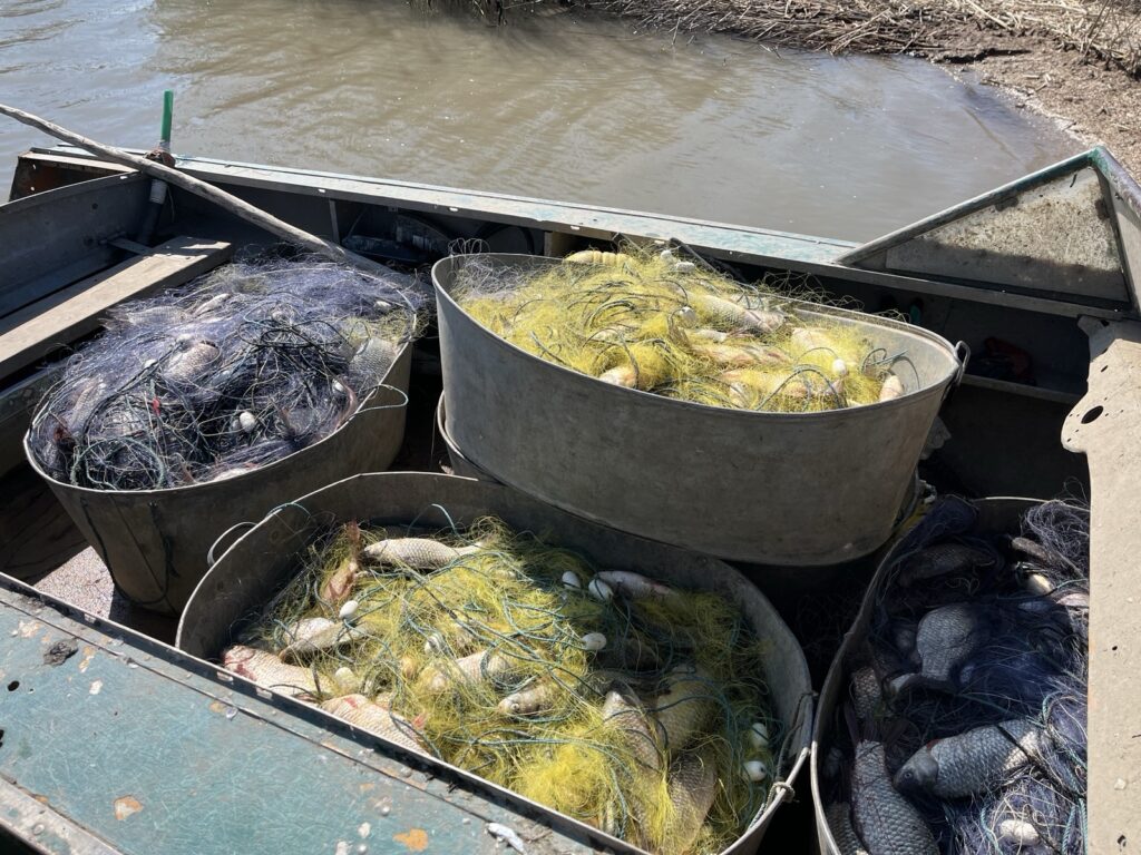 У Білгород-Дністровському районі викрили браконьєра з уловом на понад мільйон гривень