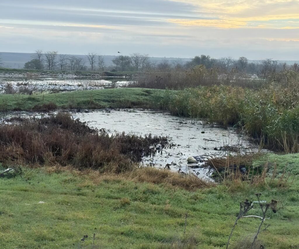 Забруднення земель каналізаційними стоками у Болграді: припис є, дій — немає