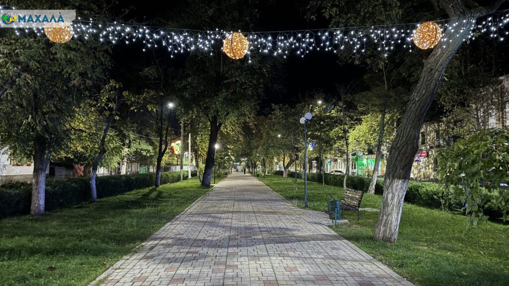 Відключення світла та технічні роботи: чому на сайті Болградської громади відсутня частина інформації