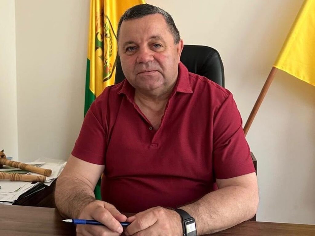Гектари землі, сонячні електростанції та відсутність авто: аналізуємо декларацію Бессарабського селищного голови Сави Чернєва