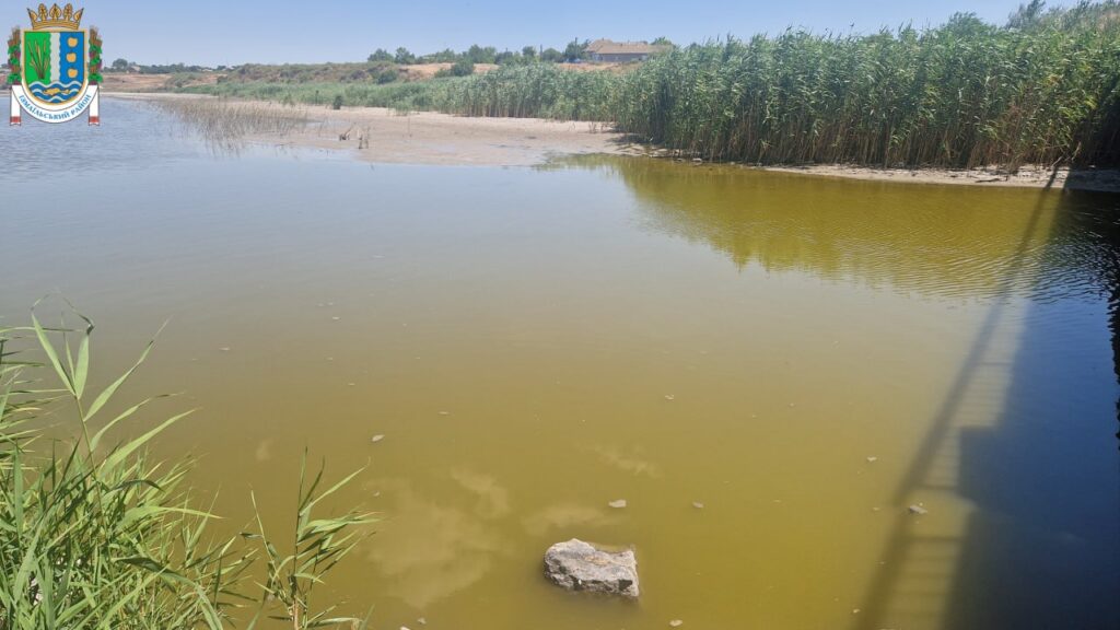 Проблема обміління Придунайських озер залишається критичною: відбулася нарада за участі уряду та місцевої влади