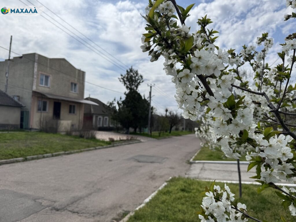 Що зміниться для українців з травня 2026 року: мобілізація, субсидії та нові правила