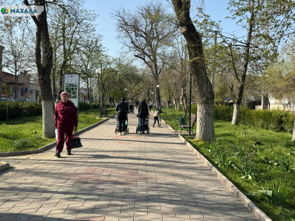 Уряд запускає програму працевлаштування для людей віком 50+: що передбачає ініціатива