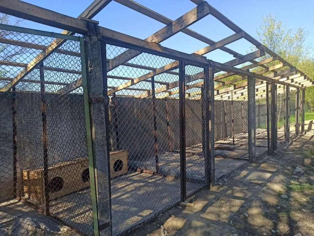 В Арцизькій громаді облаштовують місце для безпритульних тварин