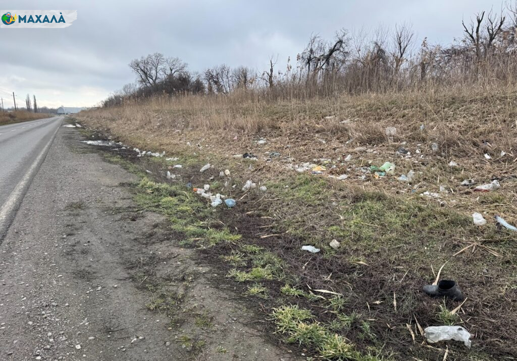 Сміття на в’їзді в Рені: хто має прибирати узбіччя? 