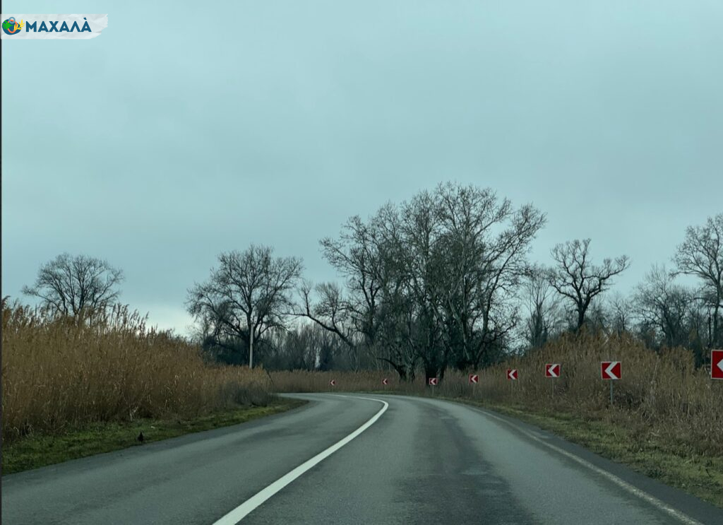 Ситуація зі сміттям на в’їзді в Рені змінюється: до прибирання долучилися волонтери