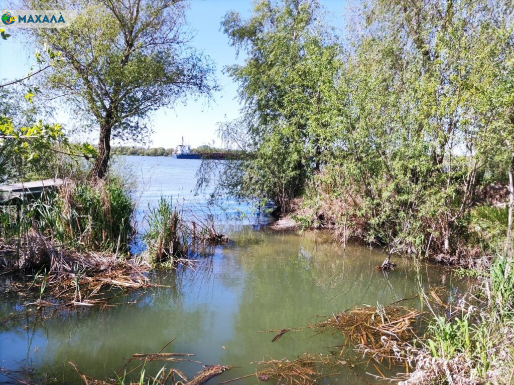 На Дунаї фіксують аномально низькі рівні води: подекуди історичні мінімуми вже перевищено