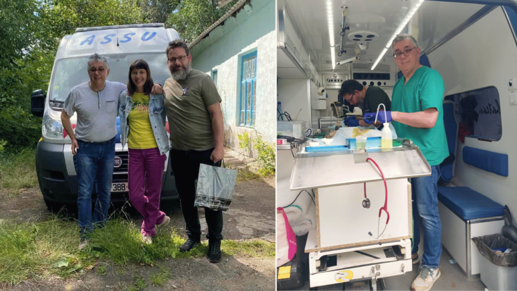 Волонтери фонду Vet4Ukraine завітали до Арцизу та стерилізували майже сотню тварин
