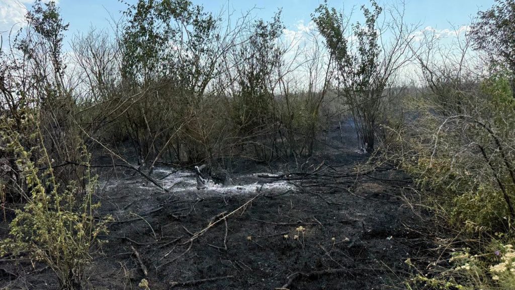 Поблизу села Плахтіївка горіло сміттєзвалище: вогонь перекинувся на дерева та поля навкруги