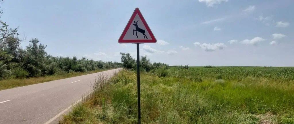 Обережно, дикі тварини! У Вилківській громаді встановлено нові дорожні знаки