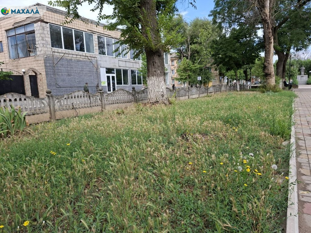 Мешканці Болградської громади розкритикували підготовку міської ради до свят, вказавши на проблеми: що відповіла влада