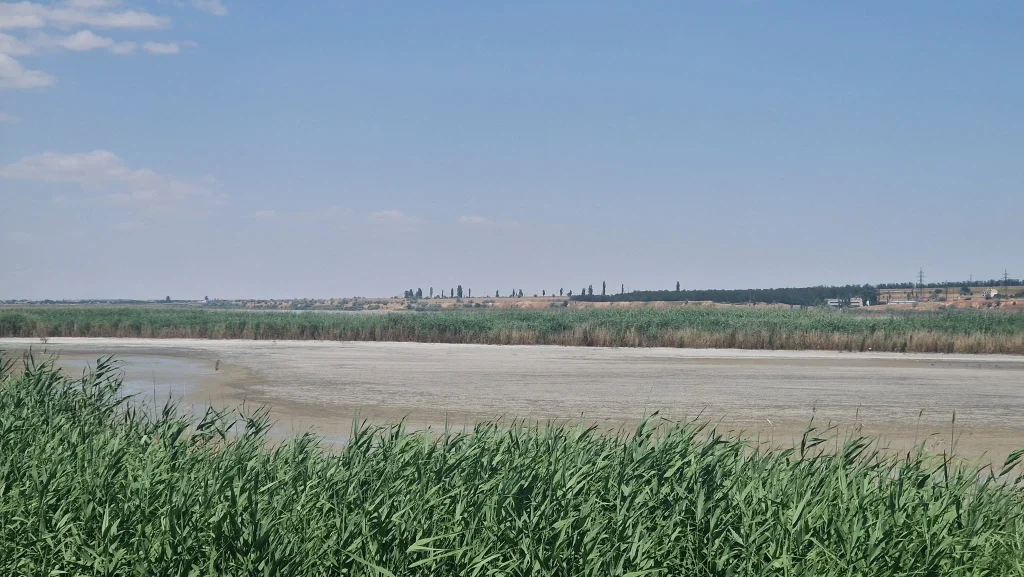 На Одещині знижується рівень води у річках та озерах: екологи розповіли про ситуацію