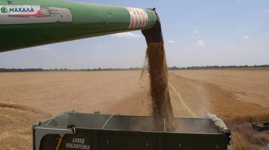 В Україні планують закласти 1 млрд грн на логістику агропродукції у 2027 році