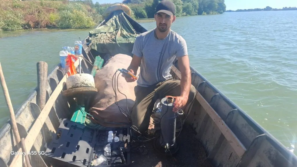 У пониззі Дунаю виявили значну різницю солоності води: науковці фіксують «сольовий клин»