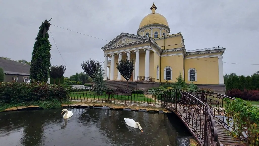 Лебідка, яка живе у ставку Спасо-Преображенського собору в Болграді, знову має пару