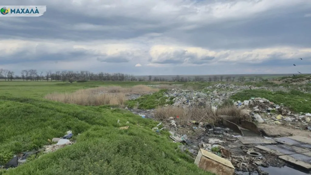Правоохоронці провели обшук у Болградській міській раді та “Горводоканалі”: чи загрожує місту каналізаційний колапс