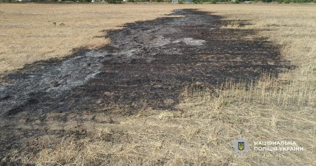 У Болградському районі чоловік підпалив стерню: йому повідомили про підозру