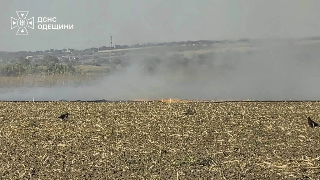 На Білгород-Дністровщині за допомогою дрона виявили спалювання сухої рослинності та стерні