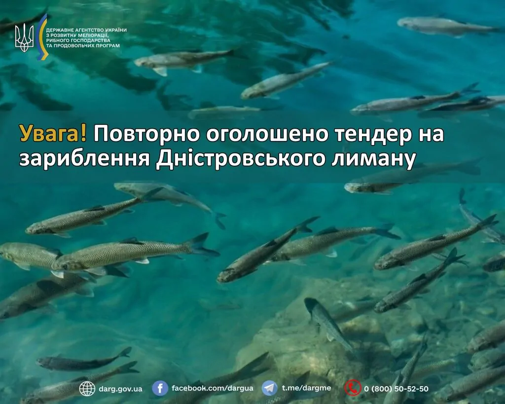 У Білгороді-Дністровському повторно оголосили тендер на зариблення Дністровського лиману