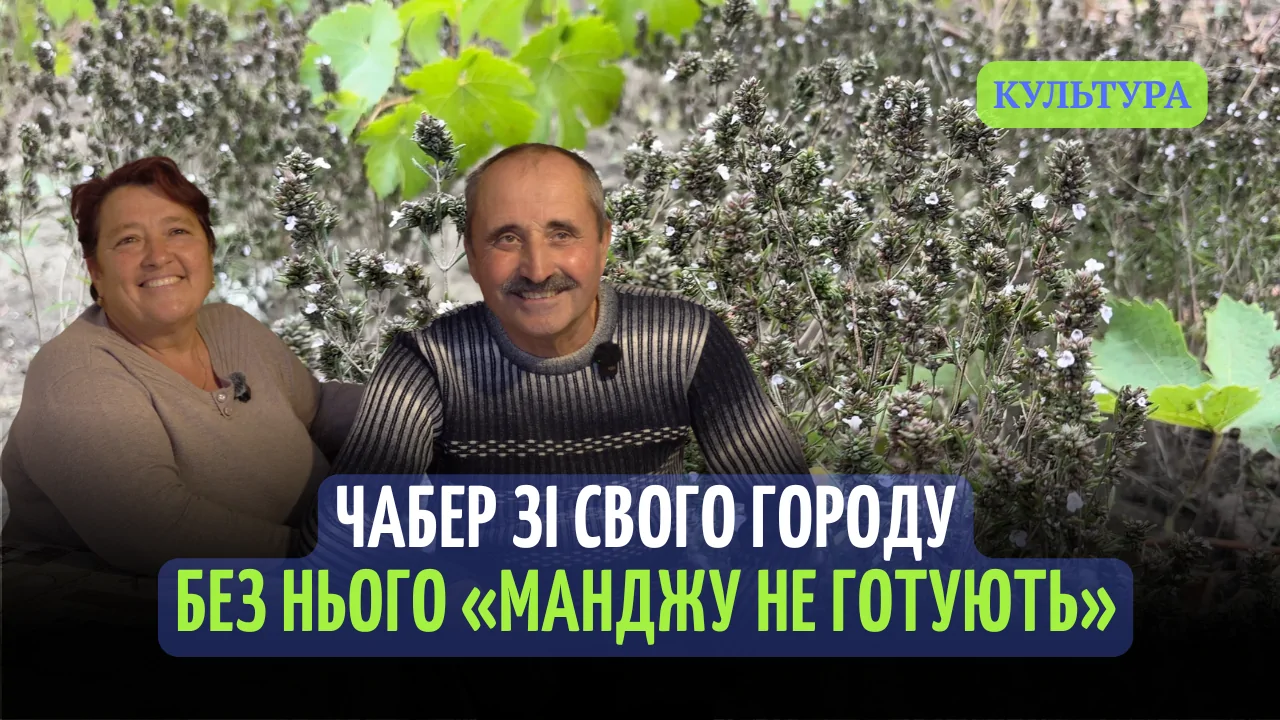 Зображення значка Ютуб для позначення вмикати відео